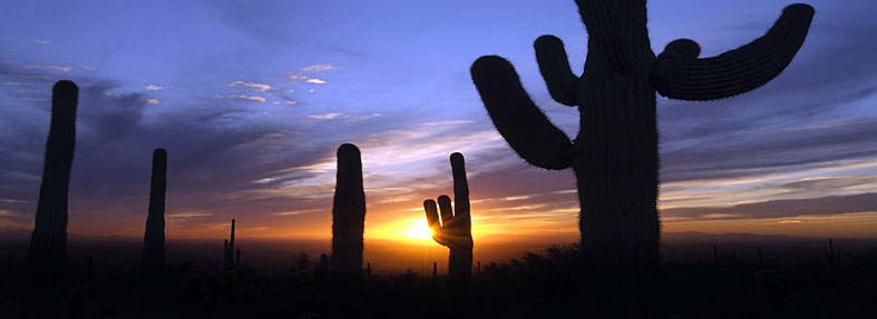 Explore Arizona Vacation Packages Explore Arizona Vacation Packages