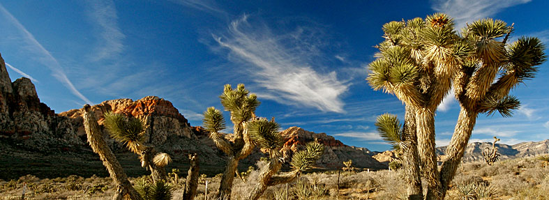 Explore Nevada Vacation Packages Explore Nevada Vacation Packages