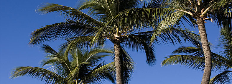 Explore California Vacation Packages Explore California Vacation Packages