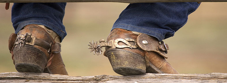 Explore Texas Vacation Packages Explore Texas Vacation Packages