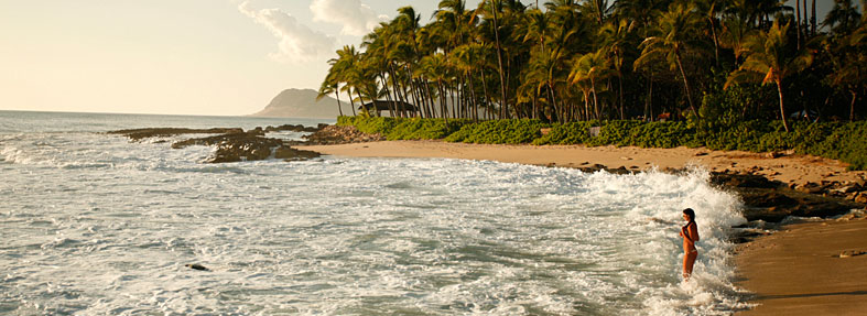Explore Hawaii Vacation Packages
